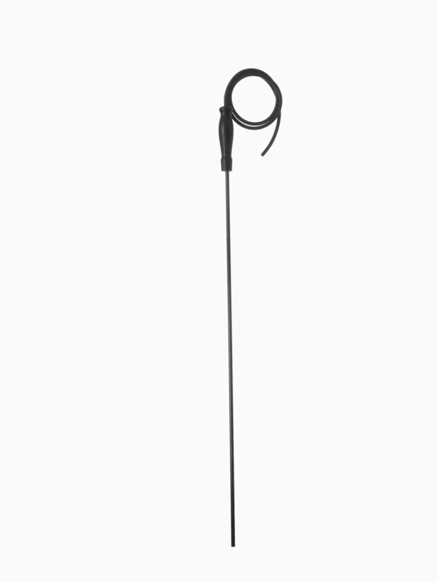 Langes schwarzes Endoskop mit flexiblem Kabel und Handgriff.