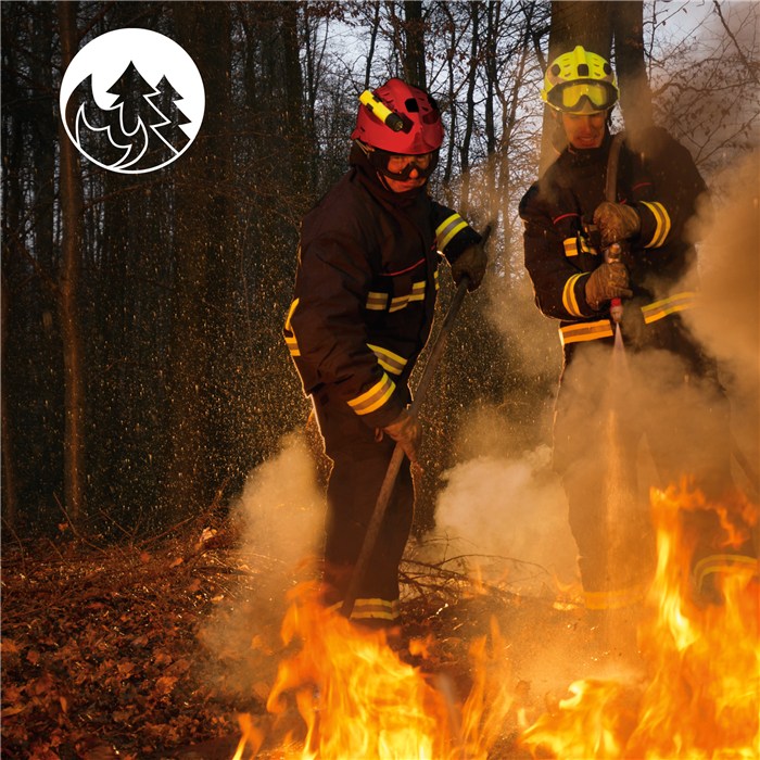 Feuerwehr Schutzhelme im Einsatz Zwei Feuerwehrleute löschen Feuer im Wald mit Schutzhelmen.